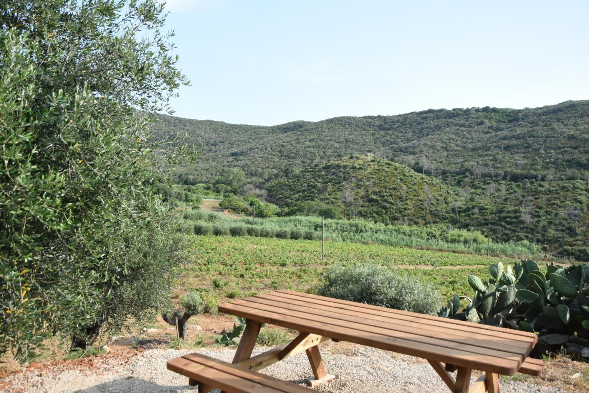 Apartamento Elba Borgo Di Latrano Magazzini  Exterior foto
